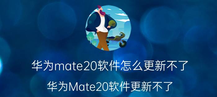 华为mate20软件怎么更新不了 华为Mate20软件更新不了